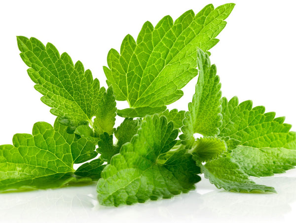 Shea Foot Balm