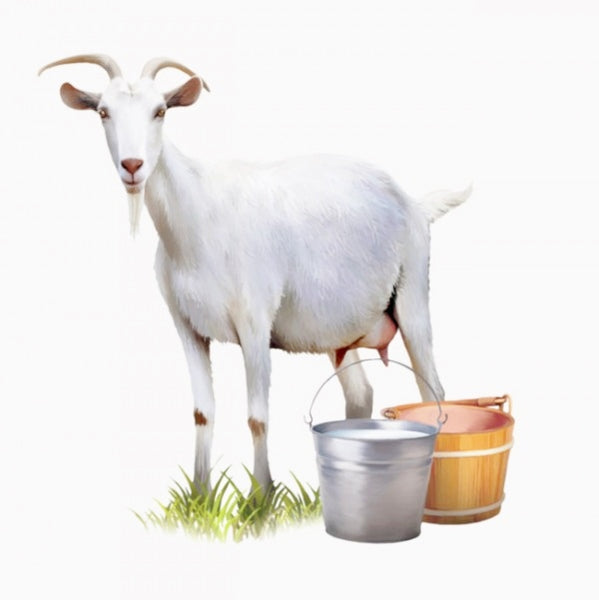 Oatmeal and Goat Milk Bath Soak